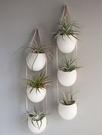 indoor-gardening-hanging-planters-ideas-arrangement-porcelain-flower-pots-leather-strings